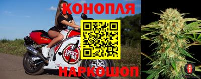 спиды Будённовск