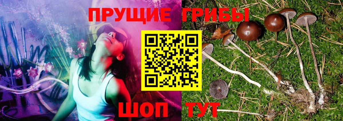 Галлюциногенные грибы MAGIC MUSHROOMS Каменск-Шахтинский