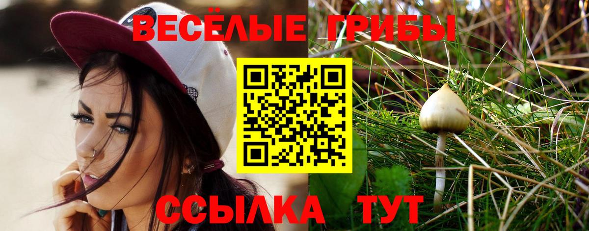 Гашиш  Лсд 25  Меф   A PVP СК   Вход с VPN  Каменск-Шахтинский  Бошки Шишки  Cocaine 